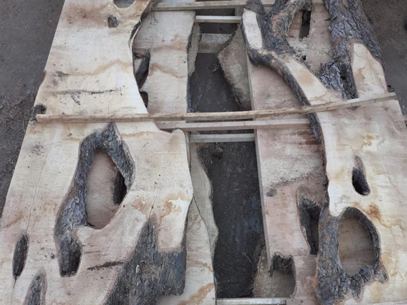 tavolame-di-ulivo-italiano-9